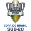Brazil U20 Cup
