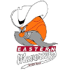 Eastern Mavericks