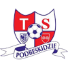 Podbeskidzie Bielsko-Biala U19