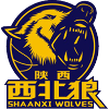 Shaanxi Xinda