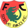 Steve Biko FC