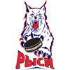 HC Krasnoyarskie Rysi