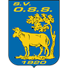 SV OSS.'20