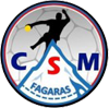 CSM Fagaras