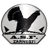 ASF Zarnesti