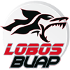 Lobos Prepa