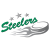 Bietigheim Steelers