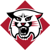 Davidson Wildcats