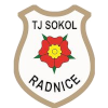 TJ Sokol Radnice