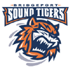 BRI Sound Tigers