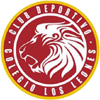 Leones Quilpue