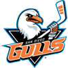 SD Gulls