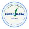 LT Lucian Blaga Reghin U19