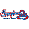 Toyoda Gosei Scorpions