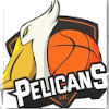 PFC Pelicans