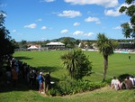 Kiwitea Street