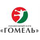 Gomel HC