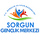 Sorgun Bld