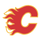 CGY Flames