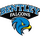 Bentley Falcons