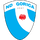 Gorica U19