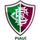Fluminense PI