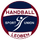 Handball Leoben