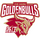 Zhejiang Golden Bulls