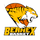 Bernex Basket