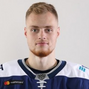 Vladislav Yefremov