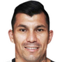 Gary Medel