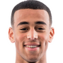 Tyler Adams