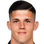 Emir Karic